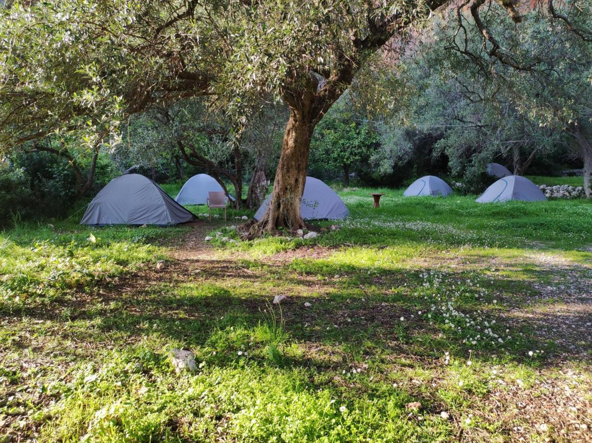 Gjipe Eco Campground Vuno 외부 사진